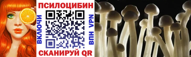продажа наркотиков  Сосновый Бор  ссылка на мегу как войти  Галлюциногенные грибы мицелий 