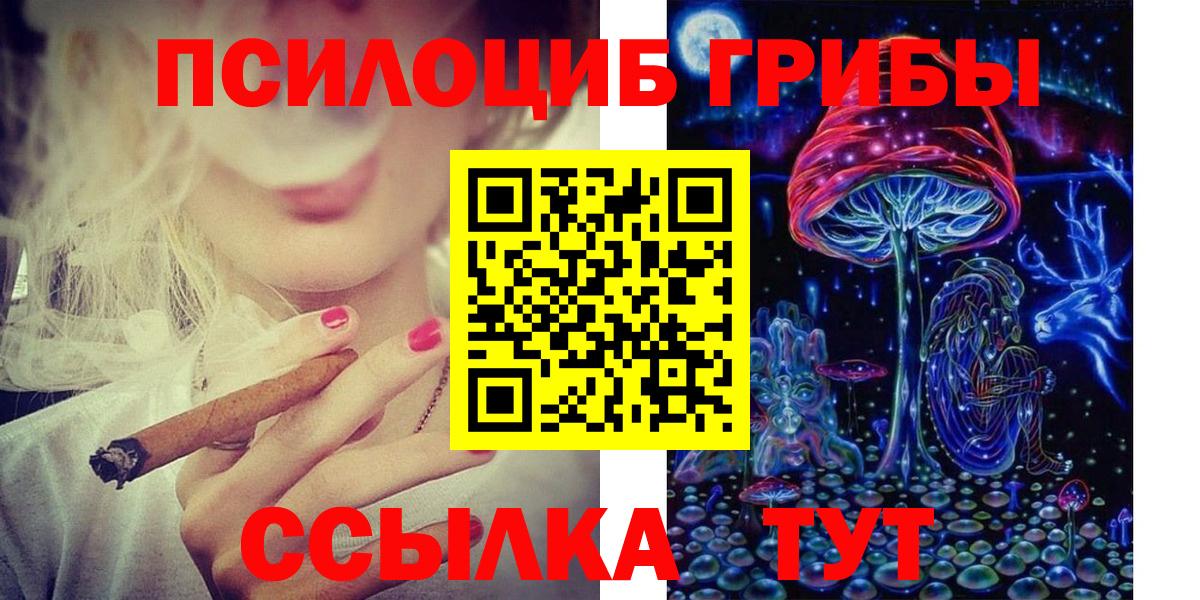 Псилоцибиновые грибы мицелий  хочу   Сосновый Бор  Вход с VPN  Псилоцибиновые грибы Psilocybe 